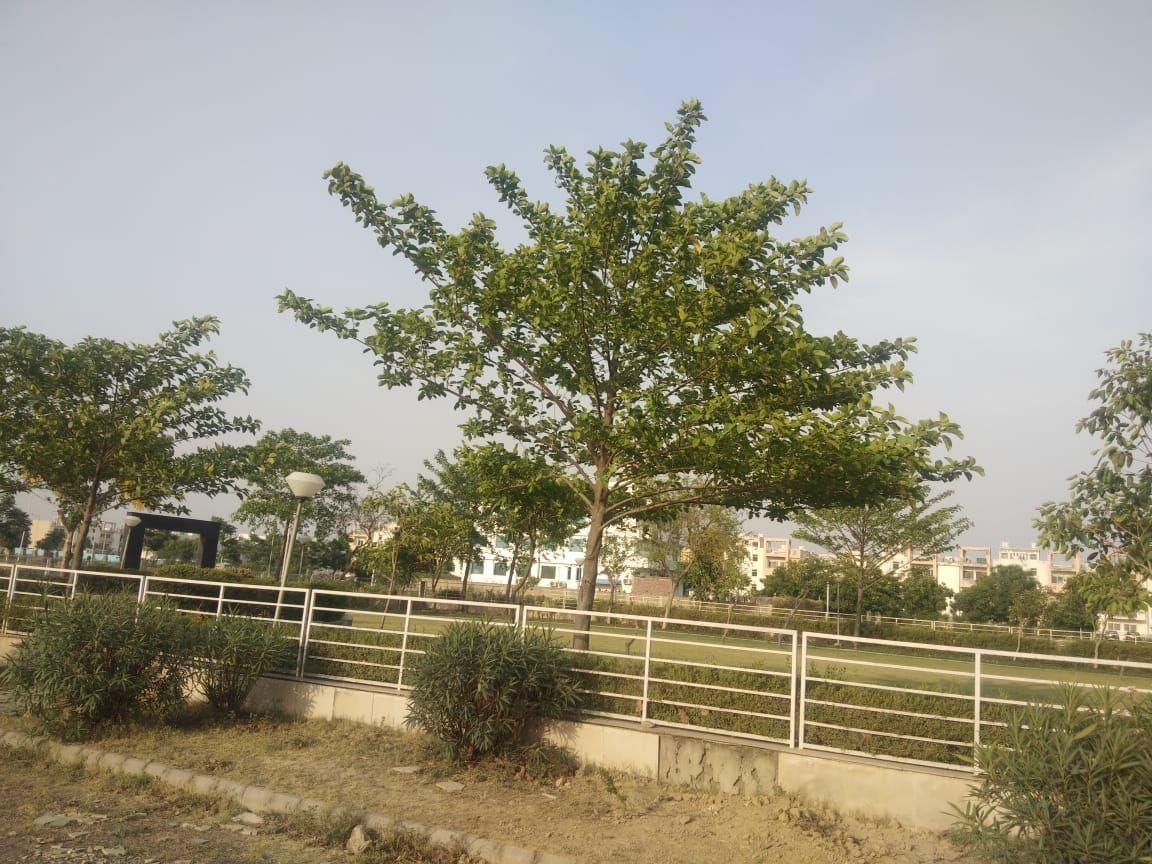 BPTP Parklands Pride Plots